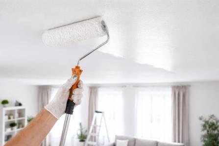 Sök Tak Boya Nedir?